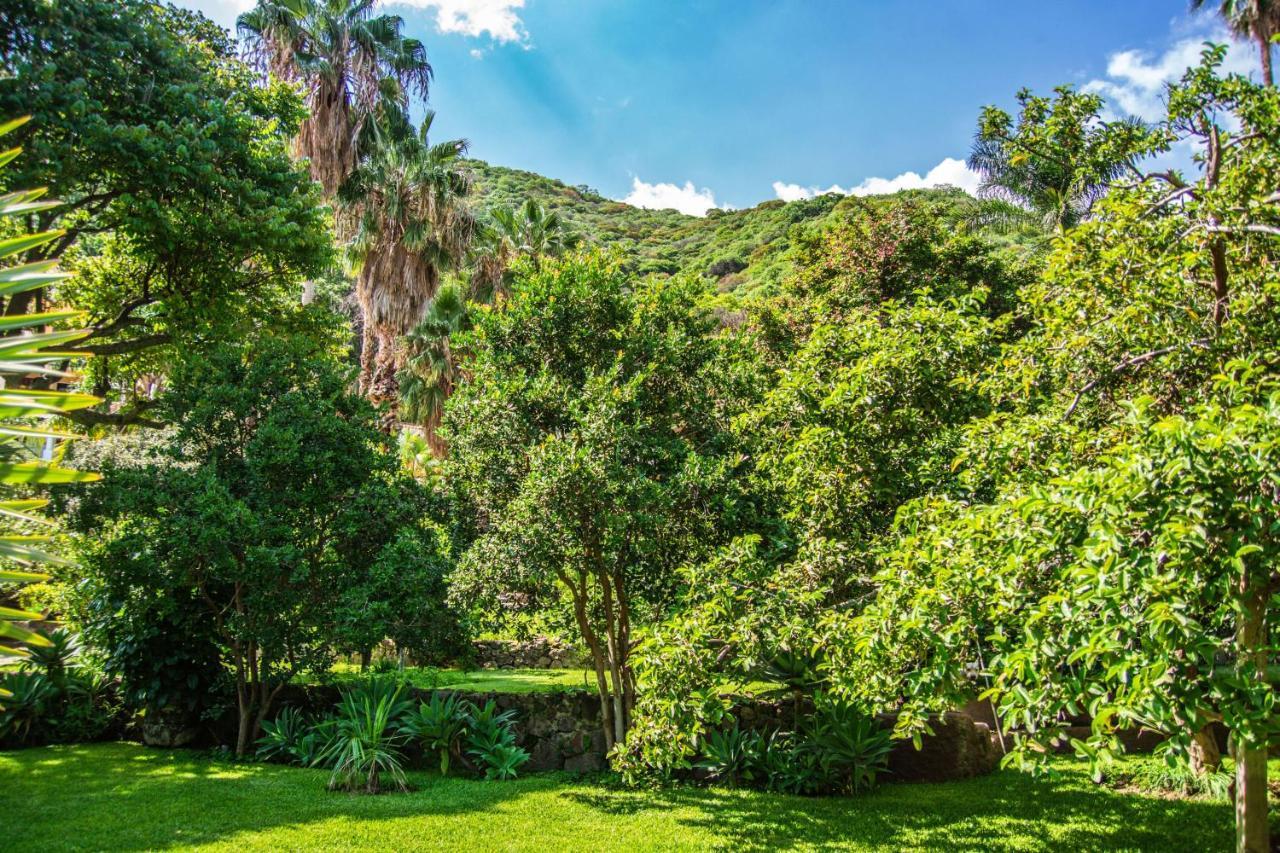 Casa Galeana- Tropical 1-Bd 1-Wc Mountain Top Luxury Suite With Stunning Views 阿吉吉克 外观 照片