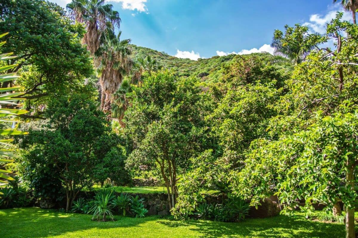 Casa Galeana- Tropical 1-Bd 1-Wc Mountain Top Luxury Suite With Stunning Views 阿吉吉克 外观 照片