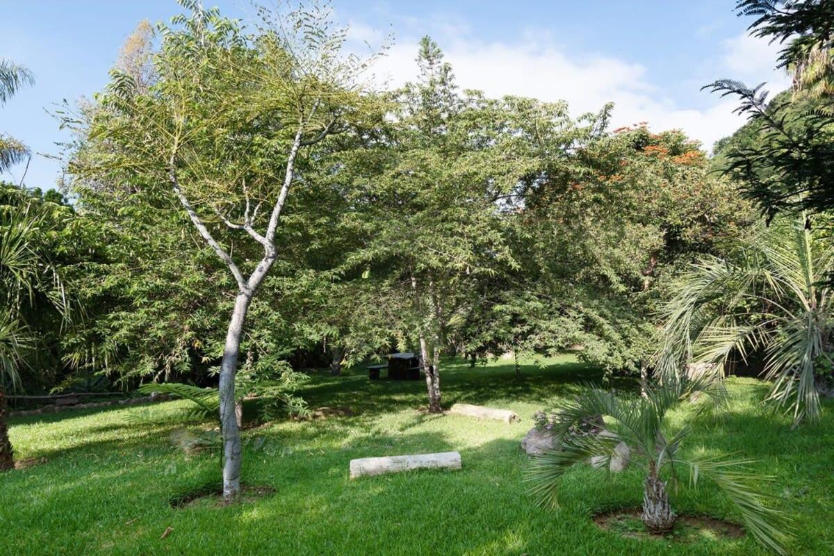 Casa Galeana- Tropical 1-Bd 1-Wc Mountain Top Luxury Suite With Stunning Views 阿吉吉克 外观 照片