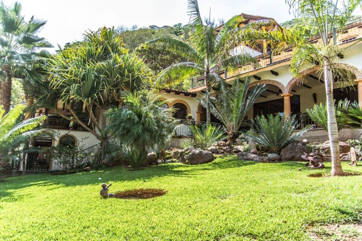 Casa Galeana- Tropical 1-Bd 1-Wc Mountain Top Luxury Suite With Stunning Views 阿吉吉克 外观 照片